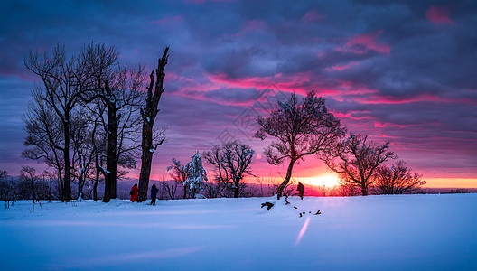 雪景夕阳冬日暖阳雪景背景