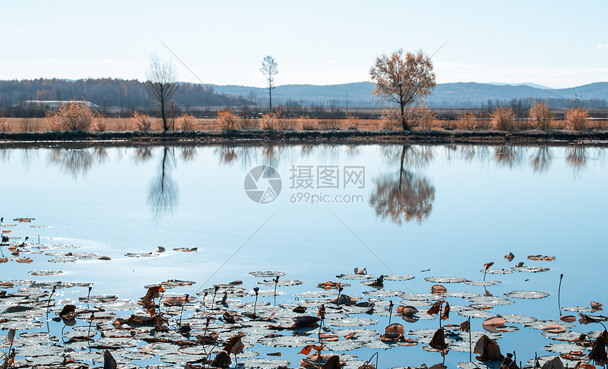 在水一方风景图片