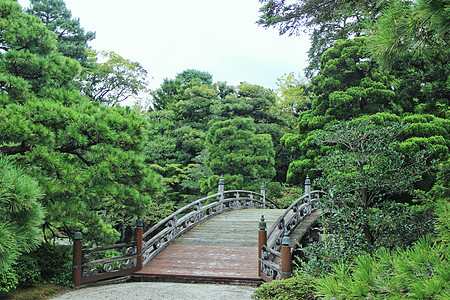 日本花园京都御所御池庭小木桥背景