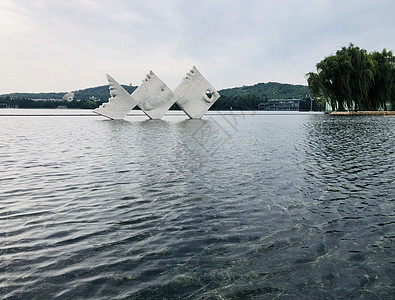 上海雕塑公园上海月湖雕塑公园雕塑背景