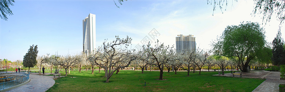 新疆库尔勒市城市风光背景