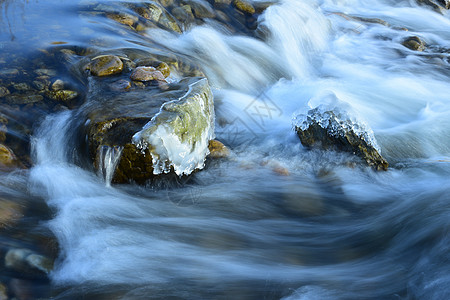 溪流冰花图片