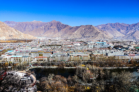 青藏牦牛拉萨城市景观背景