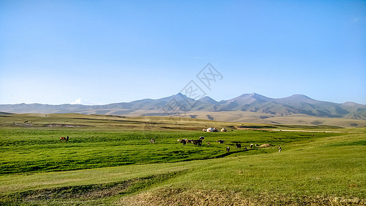 新疆那拉提草原风光图片