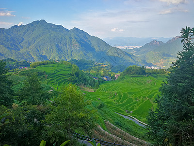 浙江丽水云和梯田风景浙江丽水云和梯田景区背景