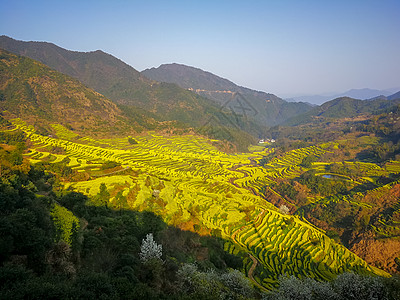 江西婺源风光背景图片