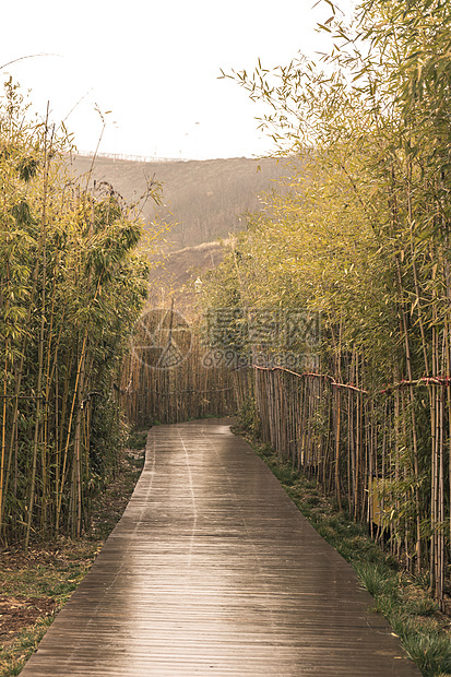 竹林道路图片