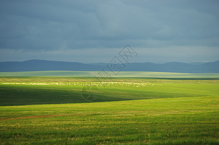 内蒙古东乌珠穆沁和乌里雅斯太山图片