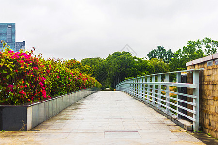 公园绿道背景背景图片