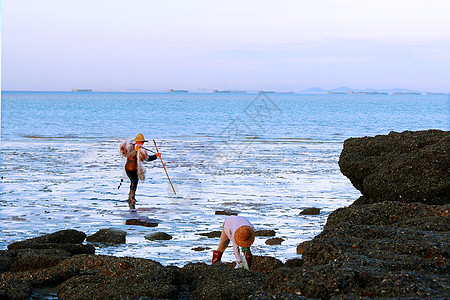 海边沙滩挖蛤蜊图片