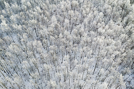 航拍雾凇岭阿尔山雪景高清图片