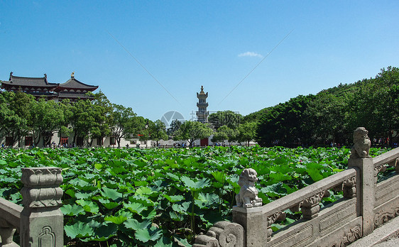 普陀山园林风光图片