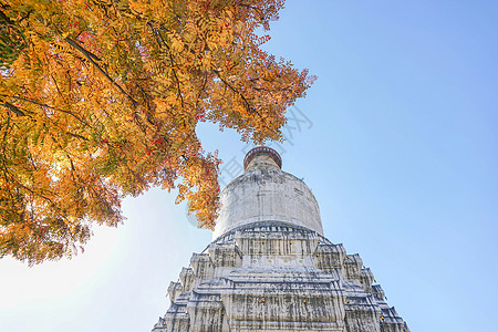 寺庙建筑群五台山白塔背景