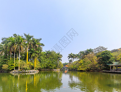 南宁青秀山天池风光背景