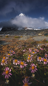 新疆博格达雪山背景图片