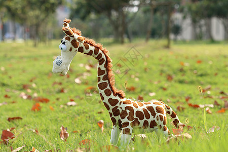草坪上的长颈鹿玩偶布偶图片