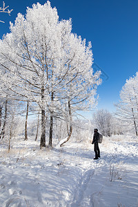 雾凇阿尔山雪景高清图片