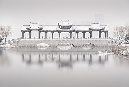 武汉沙湖公园雪景白高清图片素材