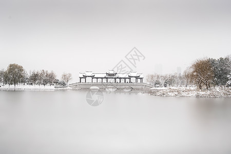 黑夜白天武汉沙湖公园雪景背景