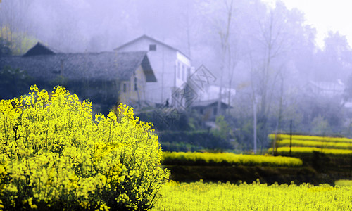 油画野花素材油画般的农舍背景