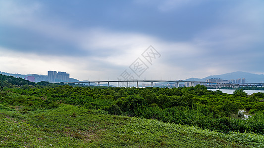 澳门莲花大桥的美景高清图片