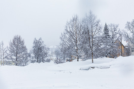 北极圈挪威冬季雪景图片