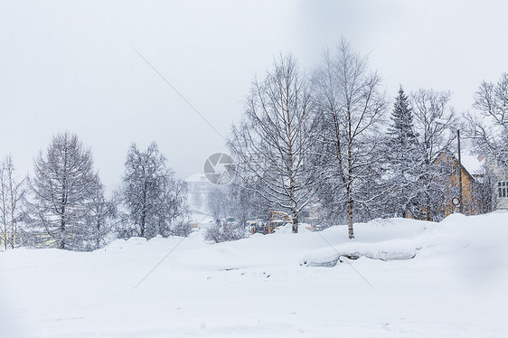 北极圈挪威冬季雪景图片