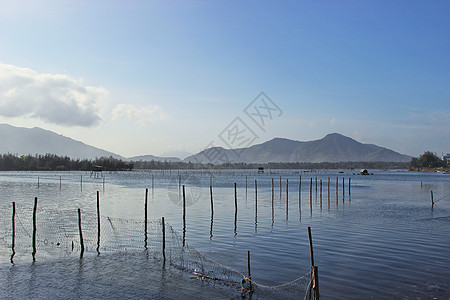 水产插画越南岘港水产养殖场背景