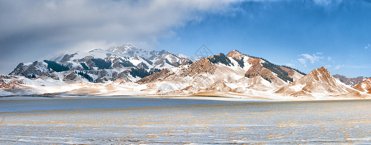 天山雪菊新疆天山冬季雪山背景