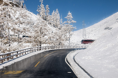 雪路树公路交通冬季雪路背景