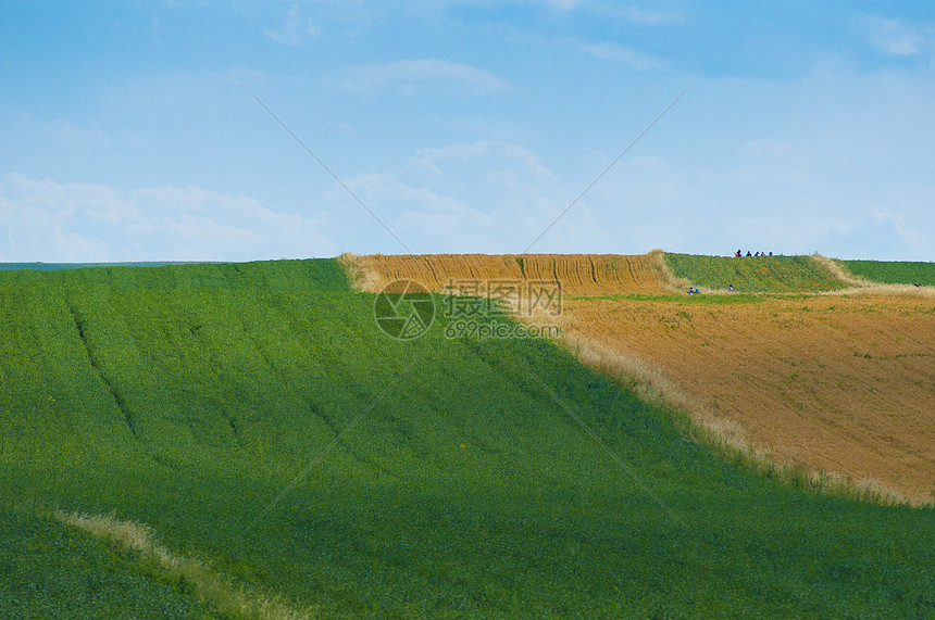 新疆农业多元化素材图片