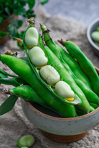 新鲜蔬菜蚕豆图片