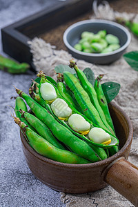 新鲜蔬菜蚕豆图片