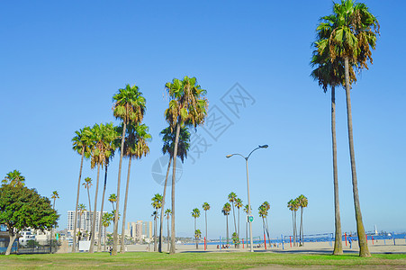 滨海休闲美国加州滨海公园背景