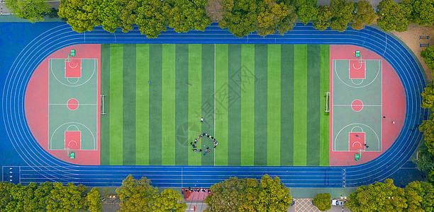 公园绿树环绕的标准足球场运动场背景图片