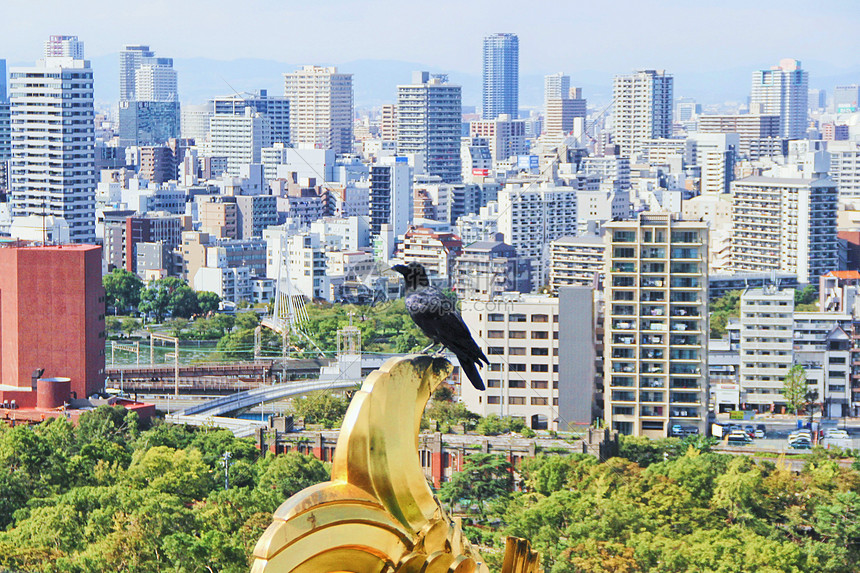 日本大阪城市高楼