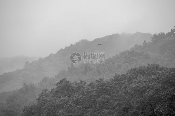 杭州西湖保椒山图片