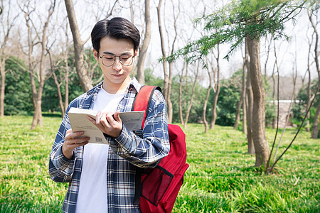 青年男性学生户外阅读高清图片