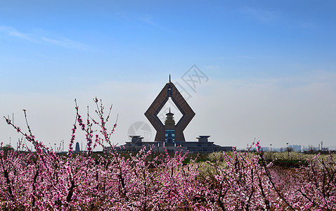 桃花镇桃花掩映中的法门寺合十舍利塔背景