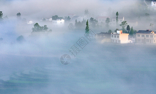 紫云仙境云雾缭绕的凤堰古梯田背景