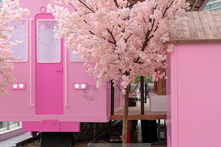 商业中心樱花季粉色车站 图片