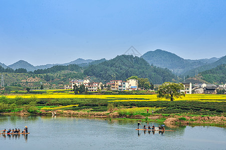 油菜花背景古徽州新安江山水背景