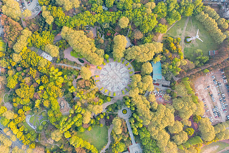 中心花园俯瞰绿树环绕的城市小区绿化景观背景