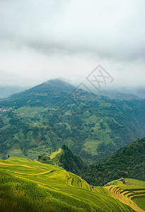 俯瞰梯田贵州加榜梯田背景