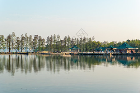 武汉东湖风景区武汉东湖湖景林荫小道背景