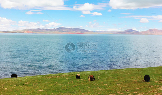 世界屋脊青藏沿路风景图片