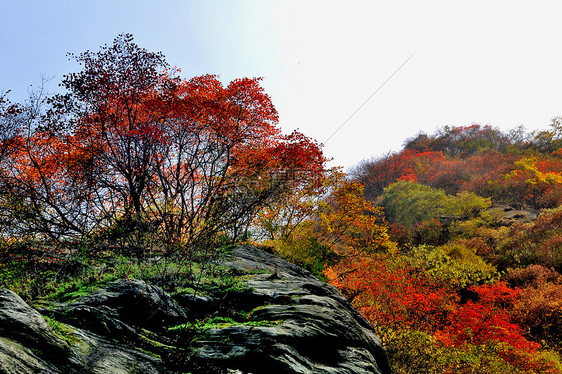 金龙峡秋景风光图片