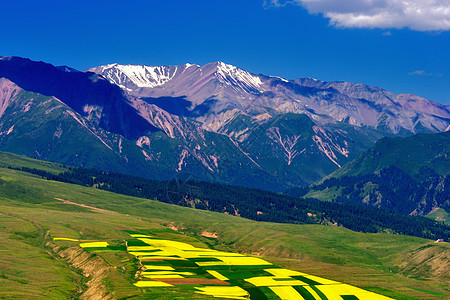 八一冰川自然风光背景