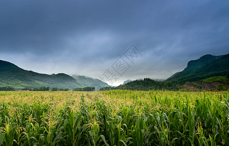 田园风景图片