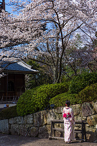 樱花和服日本京都知恩院背景